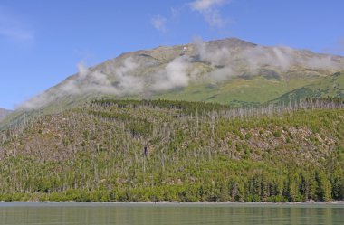 Sabah bulutlar dağlarda