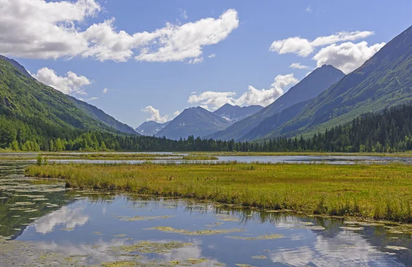 Lac des zones humides dans les montagnes — Photo