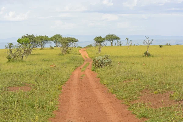 Landstraße im afrikanischen Veldt — Stockfoto