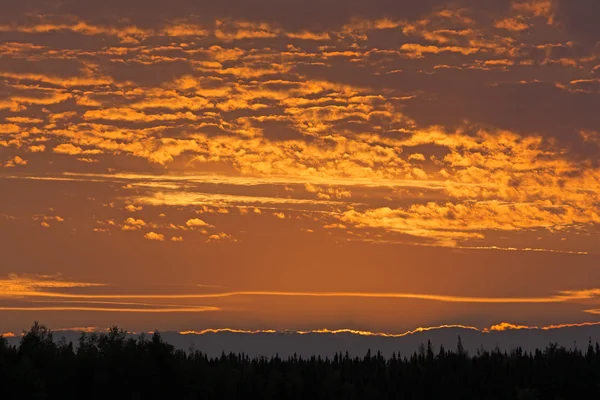 Roter Himmel am späten Abend — Stockfoto