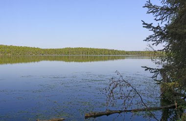 Sabah bir vahşi doğa göl üzerinde