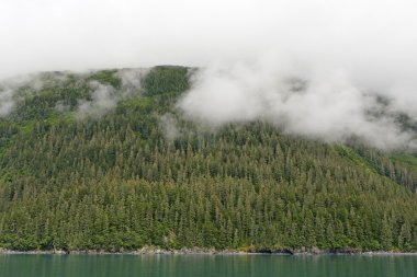Sisleri kıyı yağmur ormanı üzerinde