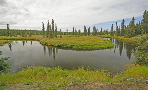 Curva de Oxbow en un río salvaje — Foto de Stock