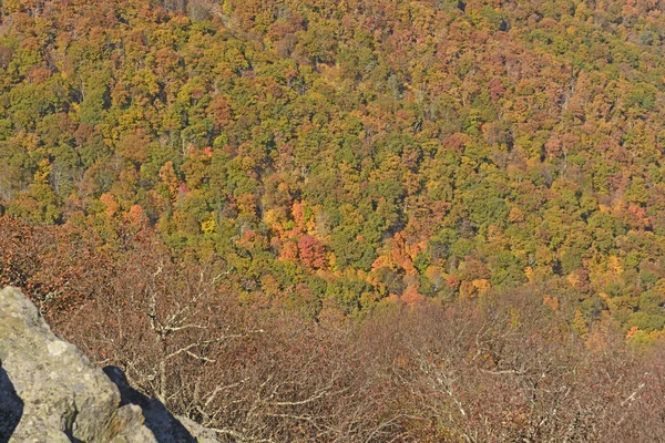 Caídas de colores en un valle de los Apalaches — Foto de Stock