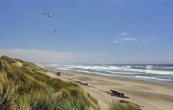 Playa remota en un día de verano — Foto de Stock