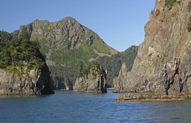Uzaktan Bay Alaska Wilderness içinde