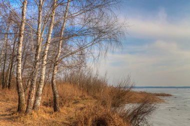 sis erken Bahar Parkı