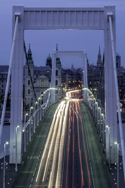 Erzsébet híd — Stock Fotó