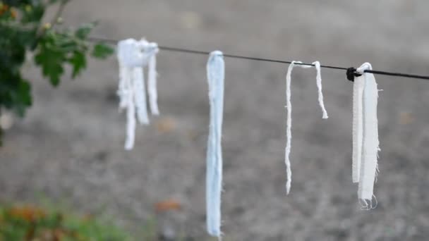 Le corde bianche pendono da un filo vicino al giardino anteriore. Stracci bianchi o pezzi di banda — Video Stock