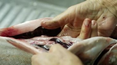 Çiğ balık kesiyorum. Ev mutfağında balık pişirmek. Bir kadın soyar ve keser