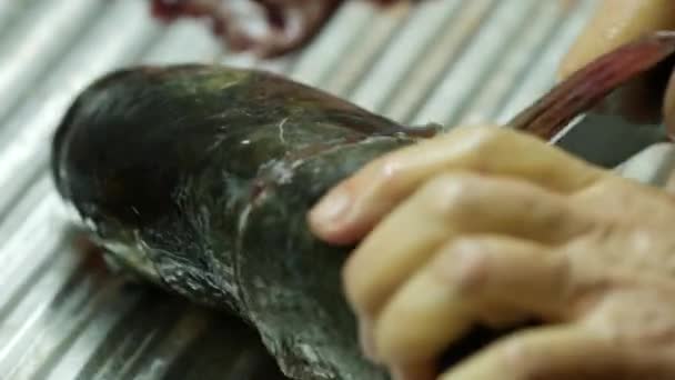 Cutting up raw fish. Cooking fish in the home kitchen. A woman peels and cuts a — Stock Video