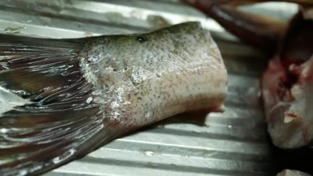 Cutting up raw fish. Cooking fish in the home kitchen. A woman peels and cuts a — Stock Video