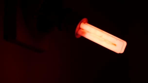 Люмінесцентна електрична лампа тьмяно світиться рожевим світлом у темній кімнаті — стокове відео