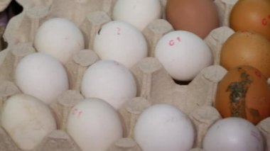 Tavuk yumurtaları markette bir paletin üzerinde. Doğal yumurtalar. Parça parça satılıyor.