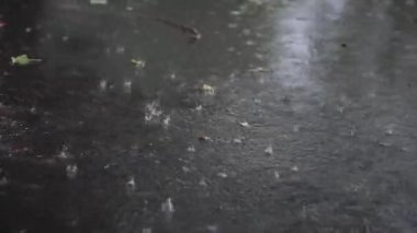 Şehir caddesinde sağanak yağış. Şiddetli yağmur, rüzgâr ve bol su.