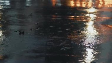 Şehir caddesinde sağanak yağış. Şiddetli yağmur, rüzgâr ve bol su.