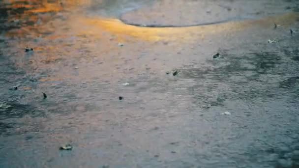 Şehir caddesinde sağanak yağış. Şiddetli yağmur, rüzgâr ve bol su. — Stok video