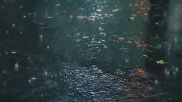 Hurikán lije na městskou ulici. Silný déšť s větrem a velkým množstvím vody — Stock video