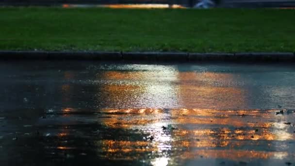 O furacão chove numa rua da cidade. Chuva forte com vento e muita água — Vídeo de Stock