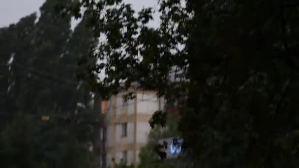 Lluvia de huracán en una calle de la ciudad. Fuertes lluvias con viento y mucha agua — Vídeo de stock