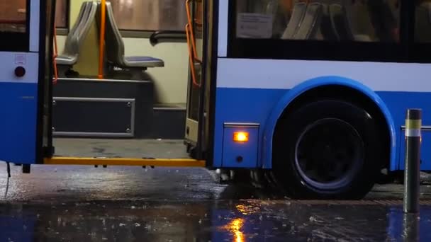 Orkaan neerslag op straat. Zware regenval met wind en veel regenwater — Stockvideo