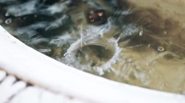 Yazın çeşmeden su akar. Demir üzerine beyaz boya soyuluyor.