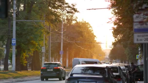 日没前の夜に道路に沿って車やサイクリストドライブ。オレンジグロー — ストック動画