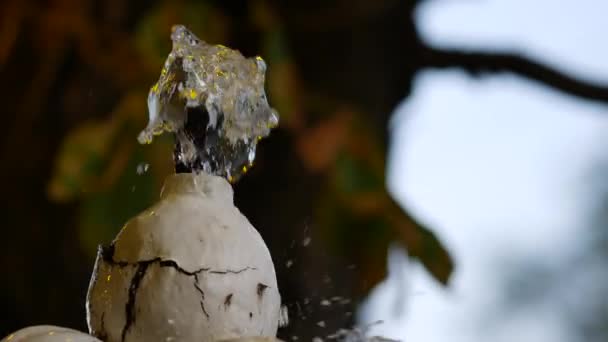 夏に噴水から水が注ぐ。鉄に白塗りの皮をむいた — ストック動画