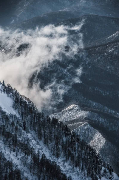 Olimpijskiego ośrodka narciarskiego, Krasnaya Polyana, Sochi, Federacja Rosyjska — Zdjęcie stockowe