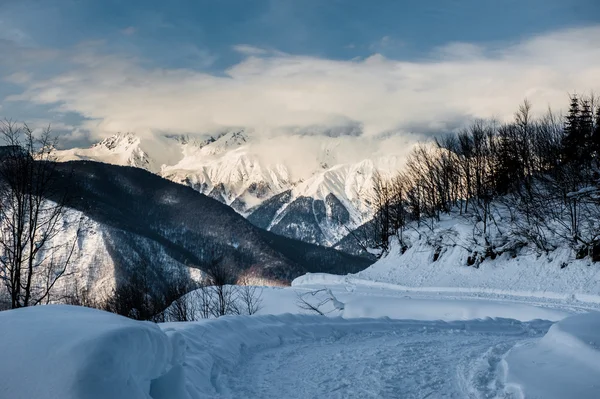 Olympisch skigebied, Krasnaya Polyana, Sotsji, Rusland — Stockfoto
