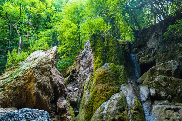 Gebirgsflusslandschaft, Tal der Geister, Gras, Felsen, Krimtrekking — Stockfoto