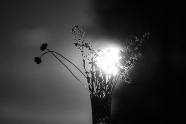 Yazın sokakta bir çiçek buketi.