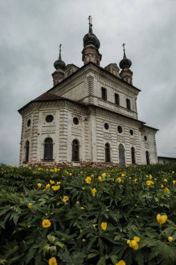Yuryev Polsky 'deki Kremlin manzarası.