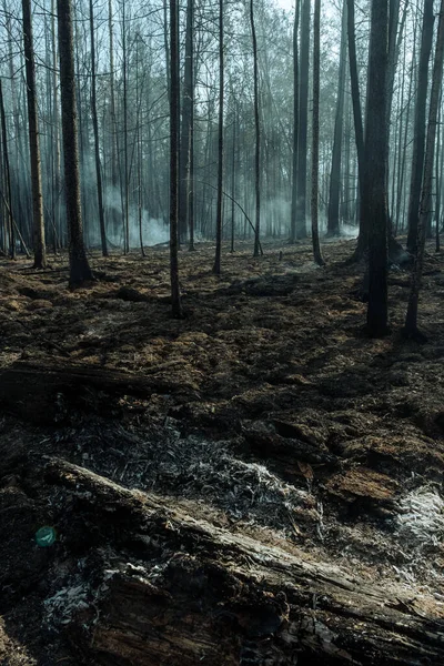 Incêndio em uma floresta perto de Pervouralsk, Ural, região de Sverdlovsk, 25 de agosto de 2021 — Fotografia de Stock