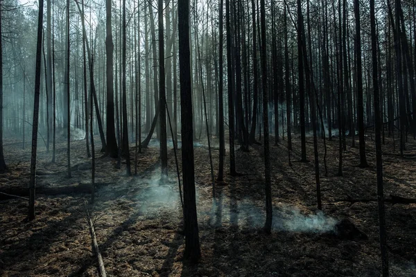 Pożar w lesie koło Pervouralska, Ural, obwód Swierdłowski, 25 sierpnia 2021 r. — Zdjęcie stockowe
