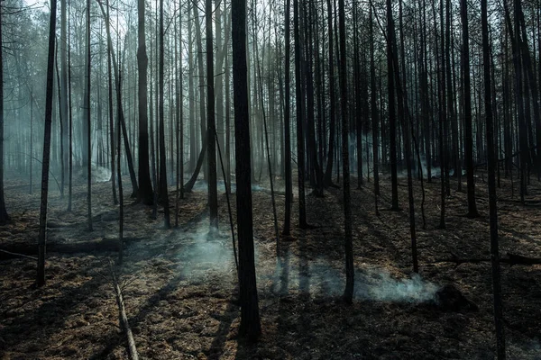 Incêndio em uma floresta perto de Pervouralsk, Ural, região de Sverdlovsk, 25 de agosto de 2021 — Fotografia de Stock