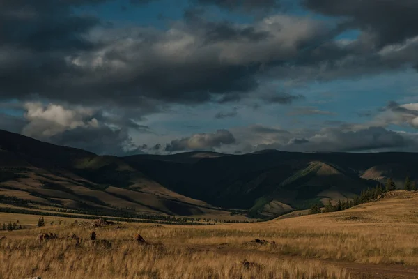 Vista Das Estepes Kurai Nas Montanhas Altai — Fotografia de Stock