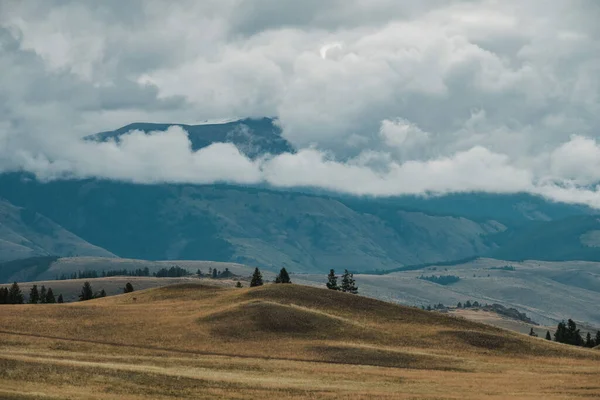 Vista Das Estepes Kurai Nas Montanhas Altai — Fotografia de Stock