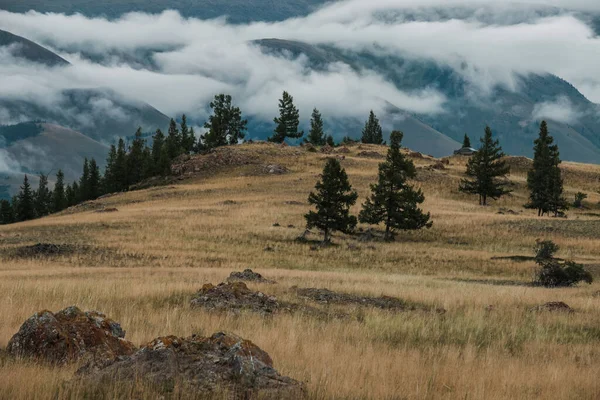 Vue Sur Les Steppes Kurai Dans Les Montagnes Altaï — Photo