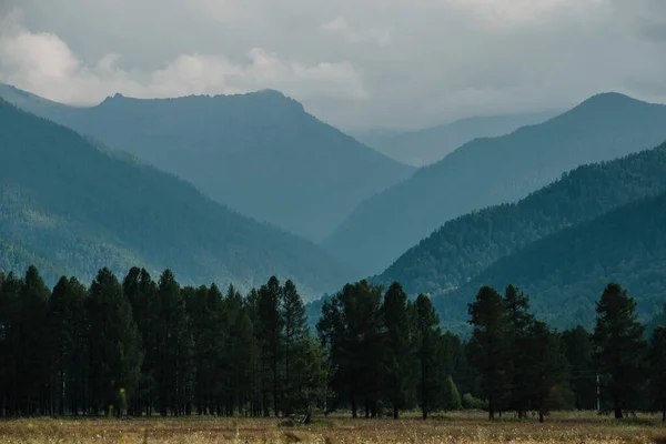 Vista Das Montanhas Altai Direção Tyungur — Fotografia de Stock