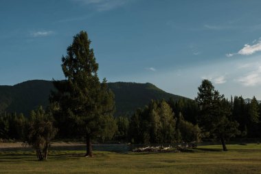 Akşam Altai Dağları 'ndaki Dzhazator Nehri üzerindeki Belyashi köyünde.