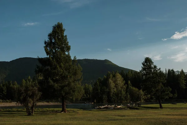 Akşam Altai Dağları 'ndaki Dzhazator Nehri üzerindeki Belyashi köyünde.