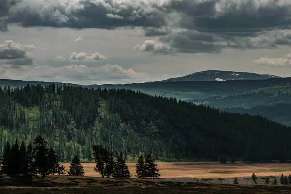 Kosh Agach Tan Altai Cumhuriyeti Ndeki Belyashi Köyüne Giden Yol — Stok fotoğraf