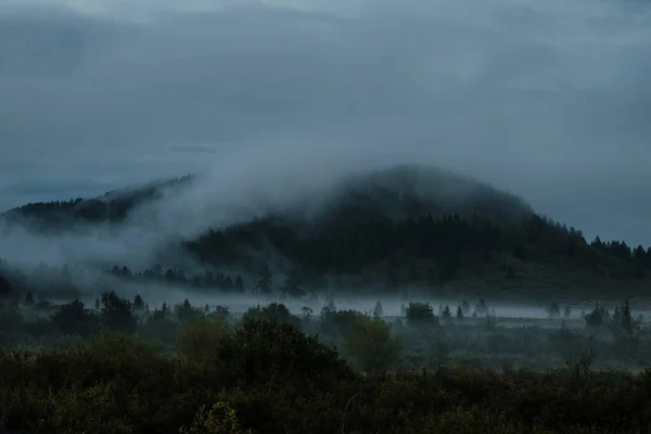 Paysage Nocturne Avec Brouillard Montagnes Conifères — Photo