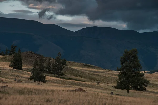 Vista Das Estepes Kurai Nas Montanhas Altai — Fotografia de Stock