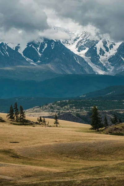 Altai Dağları Ndaki Kurai Bozkırlarının Manzarası — Stok fotoğraf