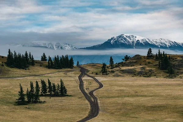 Vista Las Estepas Del Kurai Las Montañas Altai —  Fotos de Stock