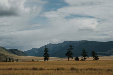 Altai Cumhuriyeti 'ndeki Chuisky Trakt' tan güzel bir dağ manzarası..