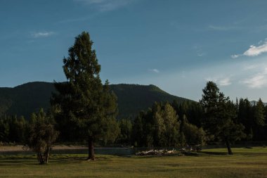 Akşam Altai Dağları 'ndaki Dzhazator Nehri üzerindeki Belyashi köyünde.