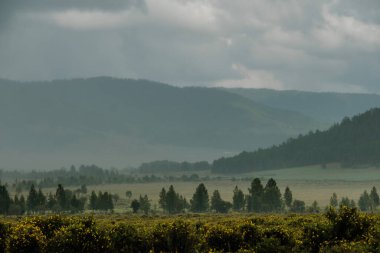 Tyungur istikametindeki Altai Dağları manzarası.